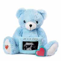 Gender Determination Boy Blue Ultrasound Heartbeat Teddy Bear