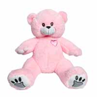 Gender Reveal Pink Ultrasound Heartbeat Teddy Bear